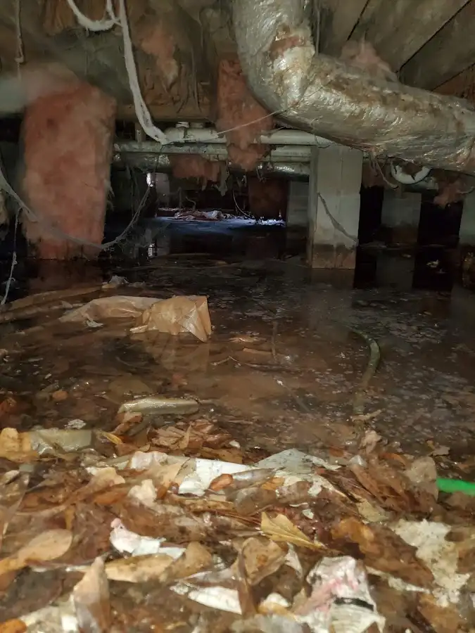Crawl space flood assessment for Commercial Water Damage Restoration in West University Place