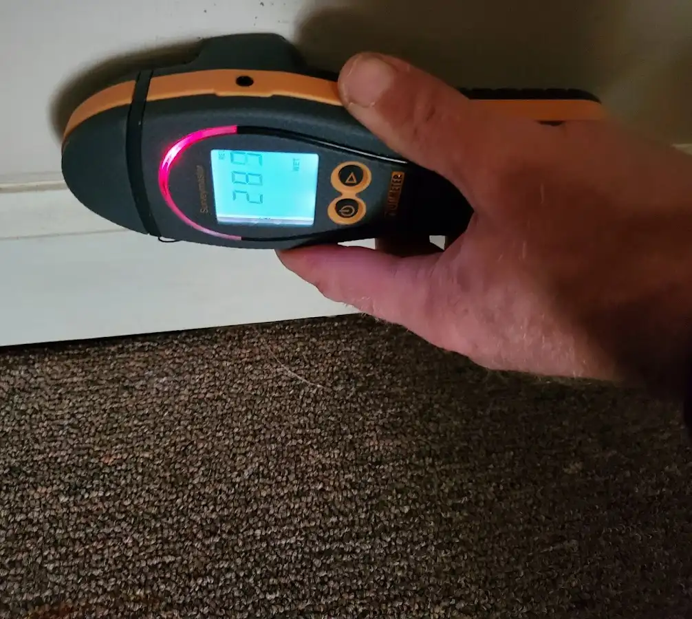 Moisture detection at baseboard during Mold Inspection & Testing in West University Place
